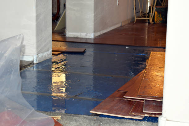 Professional Flood Cleanup technician working in High Bridge, WA